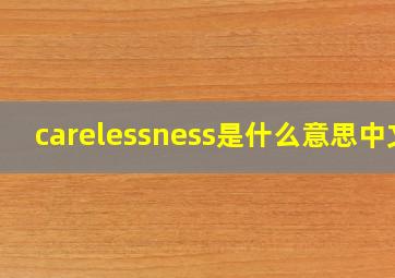 carelessness是什么意思中文