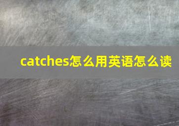 catches怎么用英语怎么读