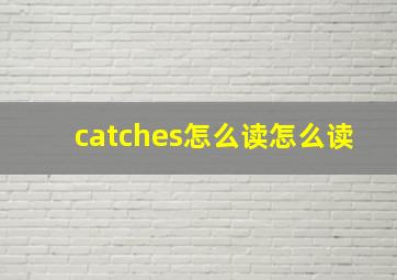 catches怎么读怎么读