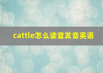 cattle怎么读音发音英语