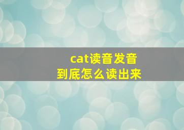 cat读音发音到底怎么读出来