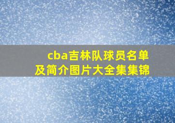 cba吉林队球员名单及简介图片大全集集锦