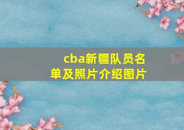 cba新疆队员名单及照片介绍图片