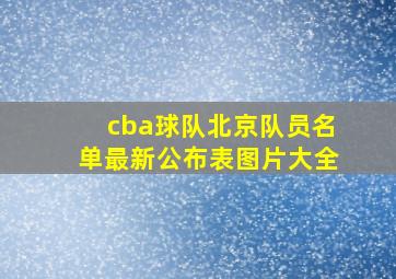 cba球队北京队员名单最新公布表图片大全