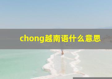 chong越南语什么意思