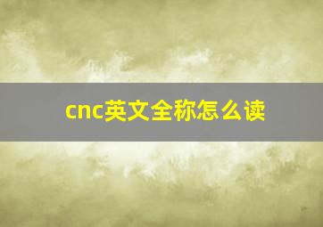 cnc英文全称怎么读