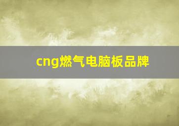 cng燃气电脑板品牌