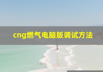 cng燃气电脑版调试方法