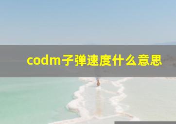 codm子弹速度什么意思