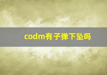 codm有子弹下坠吗