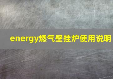 energy燃气壁挂炉使用说明