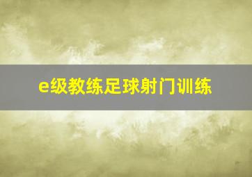 e级教练足球射门训练