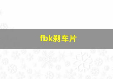 fbk刹车片