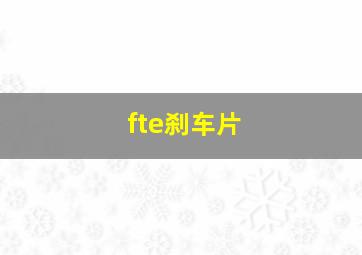 fte刹车片