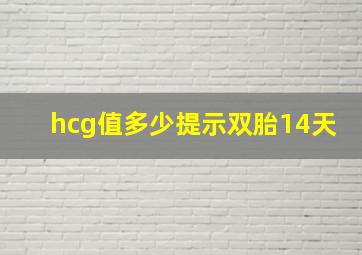 hcg值多少提示双胎14天