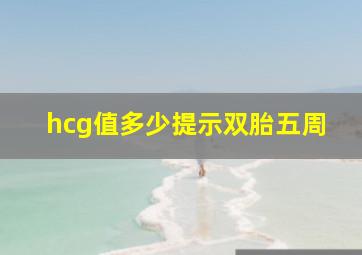 hcg值多少提示双胎五周