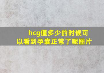 hcg值多少的时候可以看到孕囊正常了呢图片