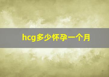 hcg多少怀孕一个月