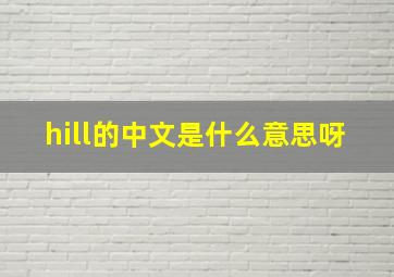 hill的中文是什么意思呀