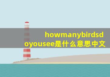 howmanybirdsdoyousee是什么意思中文