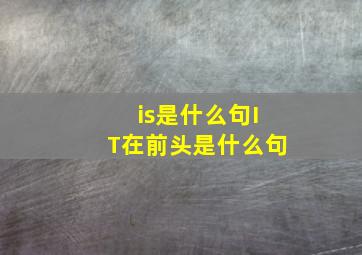 is是什么句IT在前头是什么句