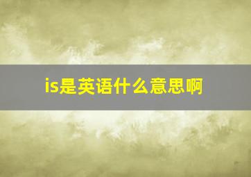 is是英语什么意思啊