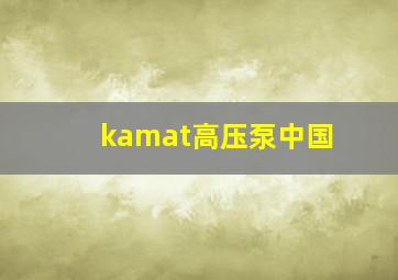 kamat高压泵中国