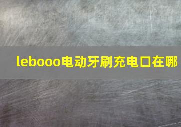 lebooo电动牙刷充电口在哪