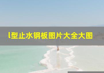 l型止水钢板图片大全大图