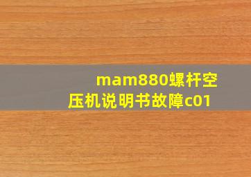 mam880螺杆空压机说明书故障c01