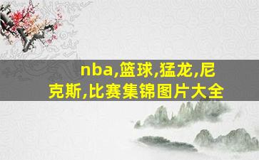 nba,篮球,猛龙,尼克斯,比赛集锦图片大全