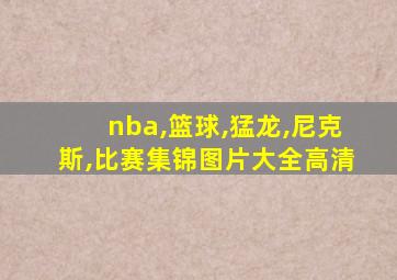 nba,篮球,猛龙,尼克斯,比赛集锦图片大全高清