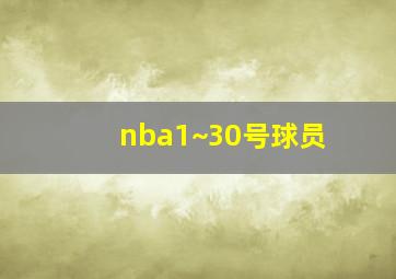 nba1~30号球员