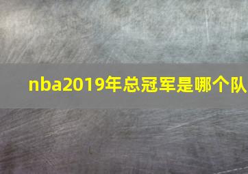 nba2019年总冠军是哪个队