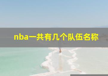 nba一共有几个队伍名称