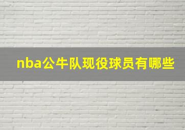 nba公牛队现役球员有哪些