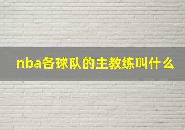 nba各球队的主教练叫什么