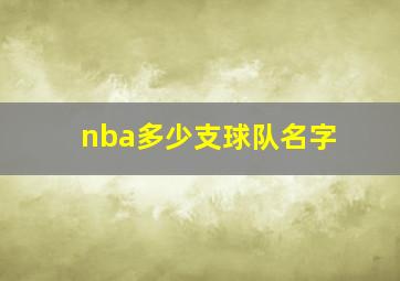 nba多少支球队名字