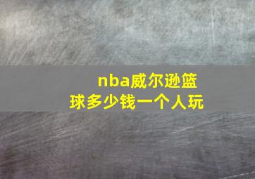 nba威尔逊篮球多少钱一个人玩