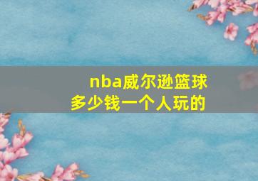 nba威尔逊篮球多少钱一个人玩的