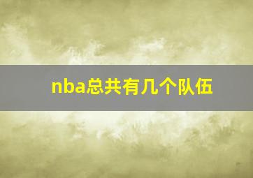 nba总共有几个队伍