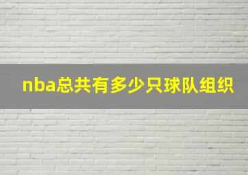 nba总共有多少只球队组织