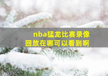 nba猛龙比赛录像回放在哪可以看到啊