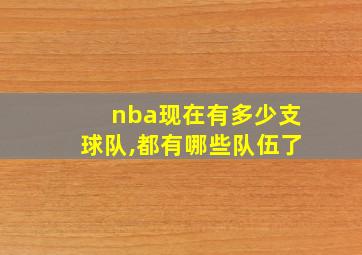 nba现在有多少支球队,都有哪些队伍了