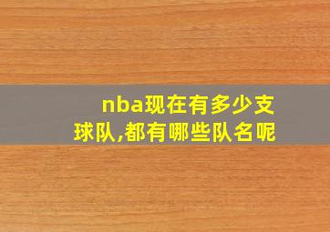 nba现在有多少支球队,都有哪些队名呢