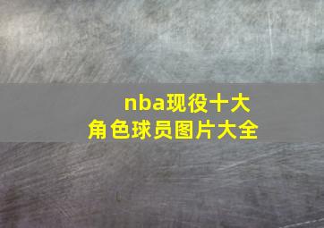 nba现役十大角色球员图片大全