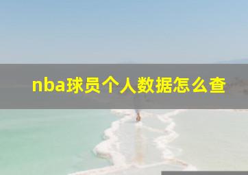 nba球员个人数据怎么查