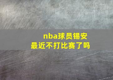 nba球员锡安最近不打比赛了吗