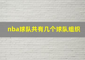 nba球队共有几个球队组织