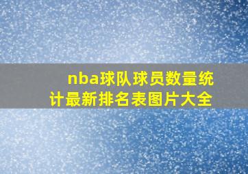 nba球队球员数量统计最新排名表图片大全